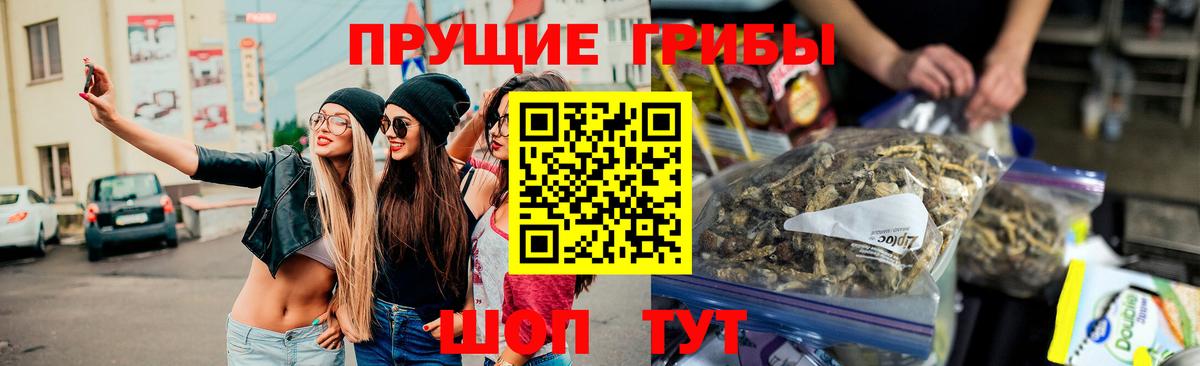 Псилоцибиновые грибы Psilocybe Рубцовск